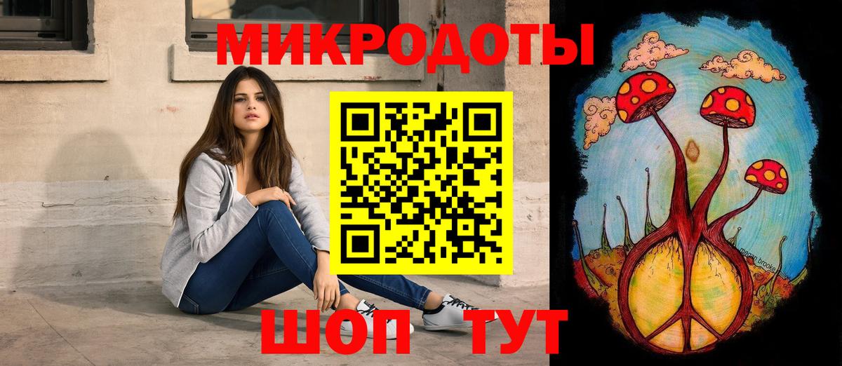 Видное  закладки  Вход с VPN  Псилоцибиновые грибы GOLDEN TEACHER 
