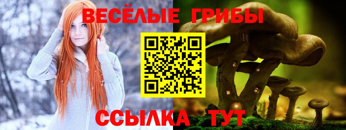 Псилоцибиновые грибы Psilocybe Видное
